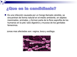  Es una infección causada por un hongo llamado cándida, se
encuentran de forma natural en el medio ambiente, en objetos
inanimados, animales, y forman parte de la flora saprofita de los
humanos en la piel, tubo digestivo y mucosa de los genitales
femeninos.
zonas mas afectadas son: vagina, boca y esófago.