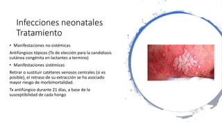 Infecciones neonatales
Tratamiento
• Manifestaciones no sistémicas
Antifúngicos tópicos (Tx de elección para la candidiasis
cutánea congénita en lactantes a termino)
• Manifestaciones sistémicas
Retirar o sustituir catéteres venosos centrales (si es
posible), el retraso de su extracción se ha asociado
mayor riesgo de morbimortalidad.
Tx antifúngico durante 21 días, a base de la
susceptibilidad de cada hongo
 