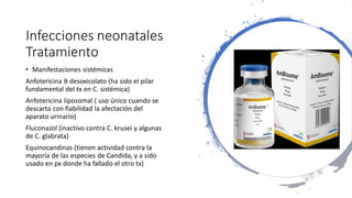 Infecciones neonatales
Tratamiento
• Manifestaciones sistémicas
Anfotericina B desoxicolato (ha sido el pilar
fundamental del tx en C. sistémica)
Anfotericina liposomal ( uso único cuando se
descarta con fiabilidad la afectación del
aparato urinario)
Fluconazol (inactivo contra C. krusei y algunas
de C. glabrata)
Equinocandinas (tienen actividad contra la
mayoría de las especies de Candida, y a sido
usado en px donde ha fallado el otro tx)
 