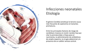 Infecciones neonatales
Etiología
El género Candida constituye la tercera causa
más frecuente de septicemia en lactantes
prematuros.
Entre los principales factores de riesgo de
candidiasis invasiva en recién nacidos hay que
citar la prematuridad, el bajo peso al
nacimiento, la administración de antibióticos
de amplio espectro, la cirugía abdominal y la
presencia de un catéter venoso central.
 