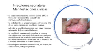 Infecciones neonatales
Manifestaciones clínicas
• La afectación del sistema nervioso central (SNC) es
frecuente y corresponde a un cuadro de
meningoencefalitis; abscesos.
• La endoftalmitis es una complicación infrecuente <5%
de los recién nacidos con candidiasis invasiva.
• Además, la candidemia se asocia a un mayor riesgo de
retinopatía de la prematuridad grave.
• La candidiasis invasiva suele complicarse con una
afectación renal, que puede limitarse a una candiduria
o manifestarse con una infiltración difusa de Candida
en todo el parénquima renal o bien por la presencia de
Candida y detritos en el sistema colector.
• Otros órganos afectados son el corazón, los huesos, las
articulaciones, el hígado y el bazo.
 