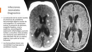 Infecciones
neonatales
Diagnostico
• La evaluación de los recién nacidos
en presencia de candidemia
documentada debería constar de
una ecografía o TC craneal para
evaluar la presencia de abscesos,
ecografía hepática, renal y
esplénica, ecocardiografía,
exploración oftalmológica, punción
lumbar y urocultivo. Estas pruebas
son necesarias para determinar si
está infectado más de un sistema
orgánico, que suele ser lo más
frecuente.
• Los hemocultivos tienen una
sensibilidad muy baja para la
candidiasis invasiva.
 