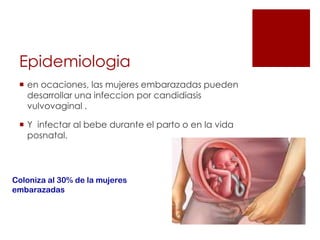 Epidemiologia
 en ocaciones, las mujeres embarazadas pueden
desarrollar una infeccion por candidiasis
vulvovaginal .
 Y infectar al bebe durante el parto o en la vida
posnatal.
Coloniza al 30% de la mujeres
embarazadas
 