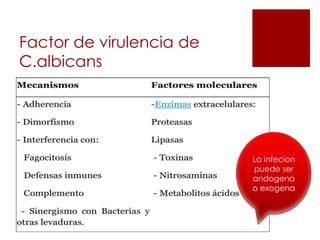 Factor de virulencia de
C.albicans
La infecion
puede ser
andogena
o exogena
 