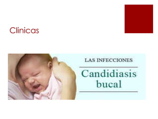 Clinicas
 