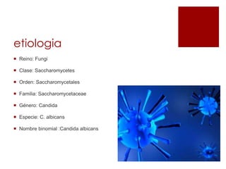 etiologia
 Reino: Fungi
 Clase: Saccharomycetes
 Orden: Saccharomycetales
 Familia: Saccharomycetaceae
 Género: Candida
 Especie: C. albicans
 Nombre binomial :Candida albicans
 