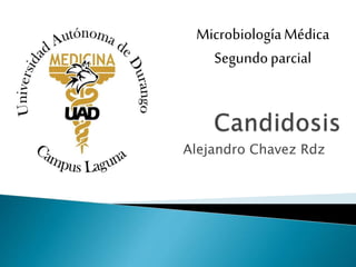 Alejandro Chavez Rdz
MicrobiologíaMédica
Segundoparcial
 