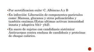 Por serotificacion exite: C. Albincas A y B
En infección: Liberación de componentes parietales
como: Manosa, glucanos y otros polisacáridos y
también enzimas.(Estas ultimas activan inmunidad
innata y adaptiva (th1- yh2).
En suero de sujetos con candidiasis sistémica:
Anticuerpos contra enolasa de candidosis y proteínas
de choque calórico.
 