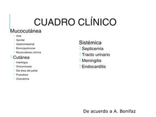 CUADRO CLÍNICO
Mucocutánea
 Oral
 Genital
 Gastrointestinal
 Broncopulmonar
 Mucocutánea crónica
 Cutánea
 Intertrigos
 Onicomicosis
 Del área del pañal
 Pustulosis
 Granuloma
Sistémica
 Septicemia
 Tracto urinario
 Meningitis
 Endocarditis
De acuerdo a A. Bonifaz
 