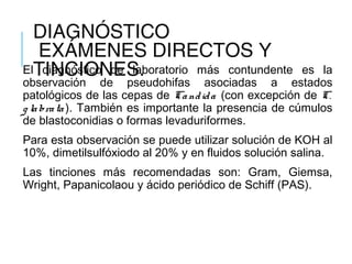 DIAGNÓSTICO
EXÁMENES DIRECTOS Y
TINCIONES.El diagnóstico de laboratorio más contundente es la
observación de pseudohifas asociadas a estados
patológicos de las cepas de Candida (con excepción de C.
g labrata). También es importante la presencia de cúmulos
de blastoconidias o formas levaduriformes.
Para esta observación se puede utilizar solución de KOH al
10%, dimetilsulfóxiodo al 20% y en fluidos solución salina.
Las tinciones más recomendadas son: Gram, Giemsa,
Wright, Papanicolaou y ácido periódico de Schiff (PAS).
 