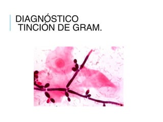 DIAGNÓSTICO
TINCIÓN DE GRAM.
 