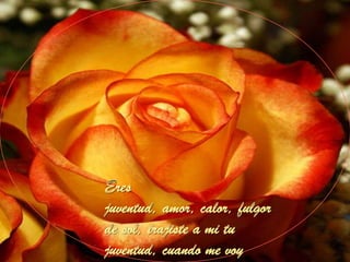 Eres juventud, amor, calor, fulgor de sol, trajiste a mi tu juventud, cuando me voy 