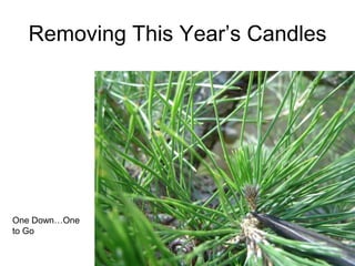 Removing This Year‟s Candles
One Down…One
to Go
 