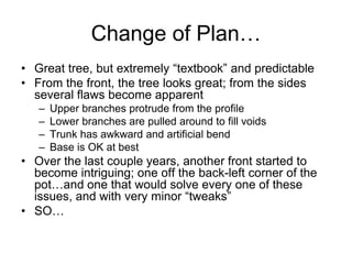 Change of Plan…
• Great tree, but extremely “textbook” and predictable
• From the front, the tree looks great; from the sides
several flaws become apparent
– Upper branches protrude from the profile
– Lower branches are pulled around to fill voids
– Trunk has awkward and artificial bend
– Base is OK at best
• Over the last couple years, another front started to
become intriguing; one off the back-left corner of the
pot…and one that would solve every one of these
issues, and with very minor “tweaks”
• SO…
 