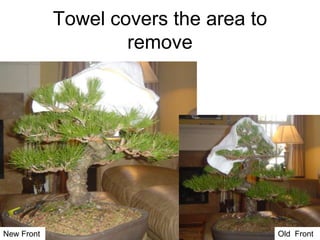 Towel covers the area to
remove
New Front Old Front
 