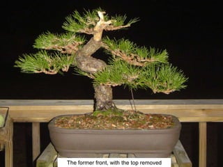 The former front, with the top removed
 