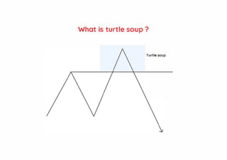What is turtle soup ?
Turtle soup
 