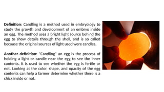 Candling-of-Eggs, poultry science lecture | PPTX