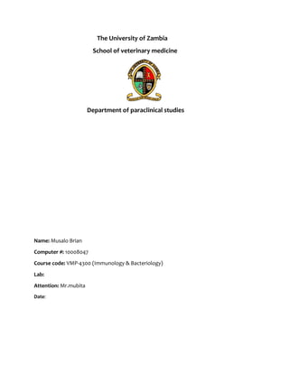 The University of Zambia 
School of veterinary medicine 
Department of paraclinical studies 
Name: Musalo Brian 
Computer #: 10008047 
Course code: VMP-4300 (Immunology & Bacteriology) 
Lab: 
Attention: Mr.mubita 
Date: 
 