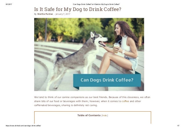 can dogs coffee can dogs drink coffee can dogs coffee can dogs drink coffee