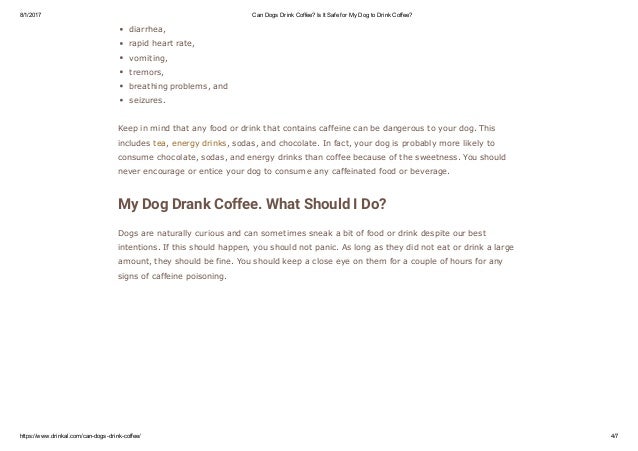 can dogs drink can dogs drink coffee can dogs drink can dogs drink coffee