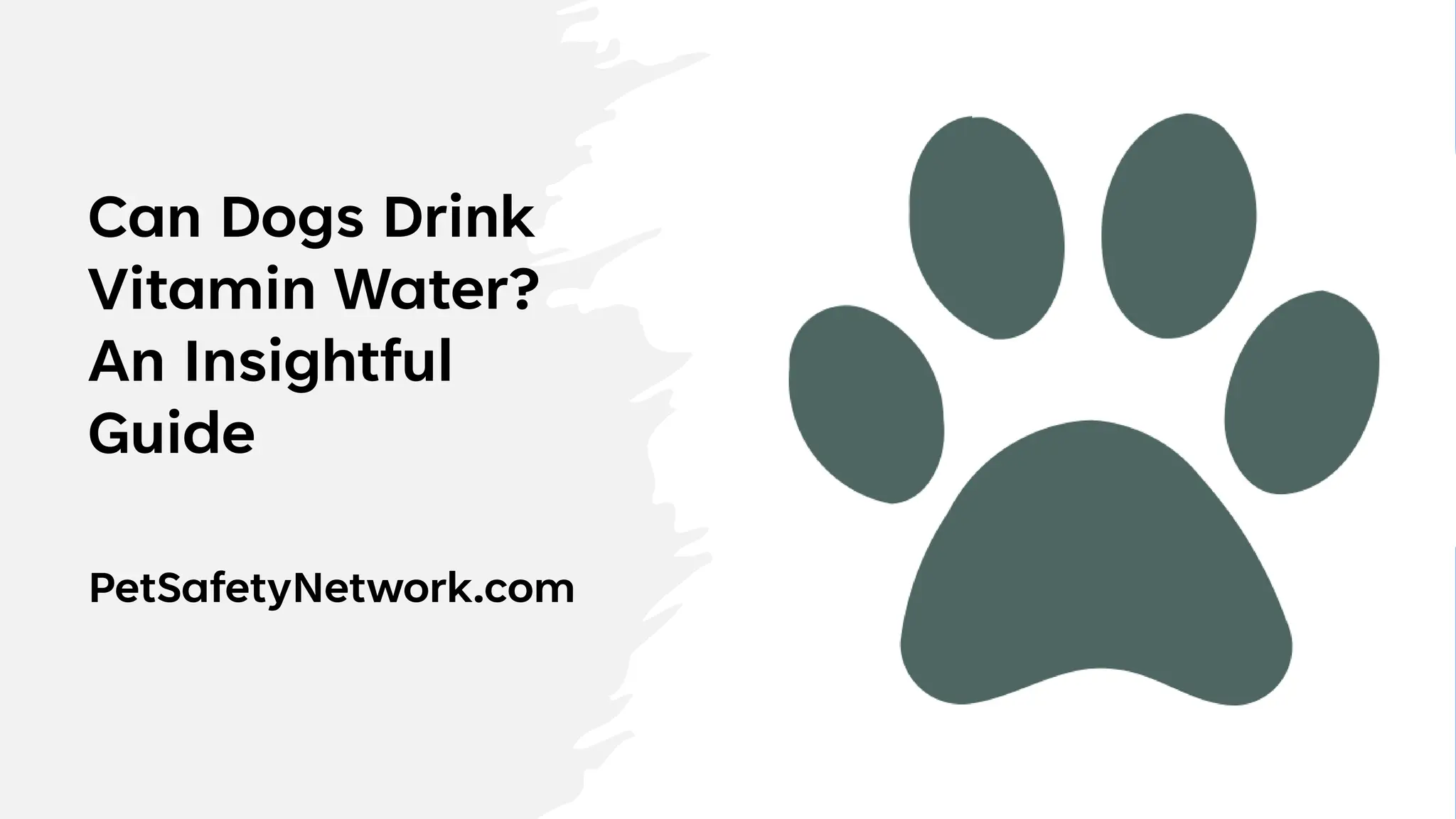 Can Dogs Drink Vitamin Water An Insightful Guide PPT