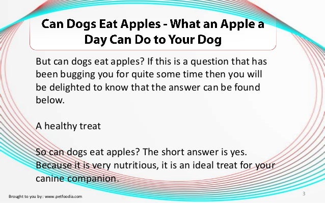 can dogs eat apples can dogs eat apples what an apple a day can do to your can dogs eat apples can dogs eat apples what an apple a day can do to your