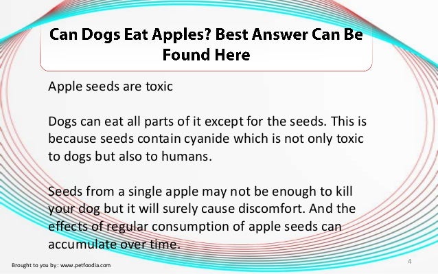 Can You Give Dog Granny Smith Apple Can You Give Dog Granny Smith Apple