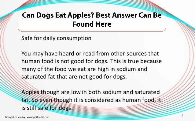 apples good for dogs