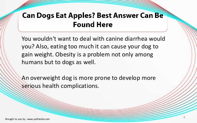 can dogs eat apple skin can dogs eat apples best answer can be found here can dogs eat apple skin can dogs eat apples best answer can be found here