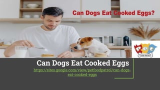 Can Dogs Eat Cooked Eggs
https://sites.google.com/view/petfoodpatrol/can-dogs-
eat-cooked-eggs
 