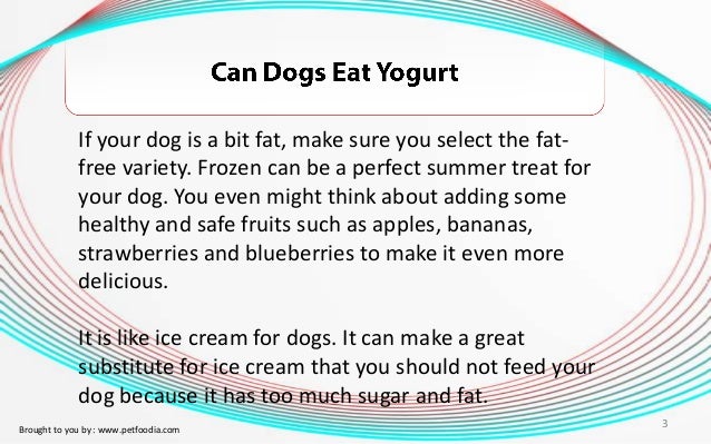 Can Dogs Eat Blueberries And Yogurt Can Dogs Eat Blueberries And Yogurt