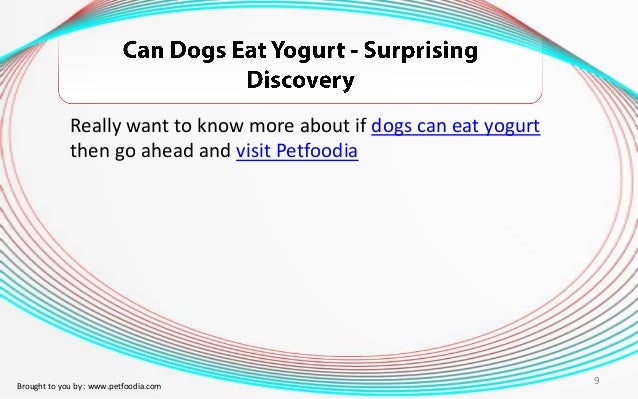 can puppies eat yogurt is cottage cheese for diarrhea is cottage cheese for you new health advisor can puppies eat yogurt is cottage cheese for diarrhea is cottage cheese for you new health advisor
