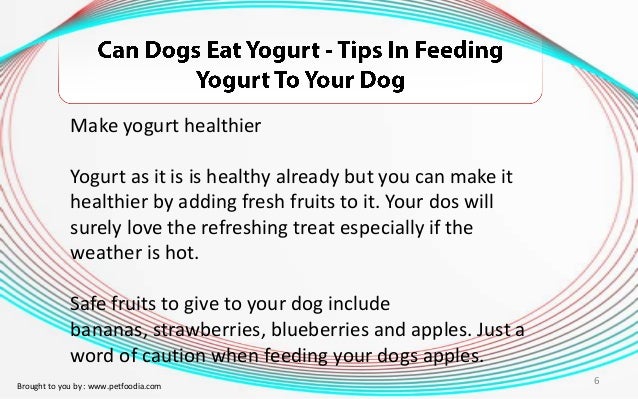 Can Dogs Eat Blueberries And Yogurt Can Dogs Eat Blueberries And Yogurt