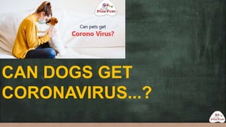 CAN DOGS GET
CORONAVIRUS...?
 
