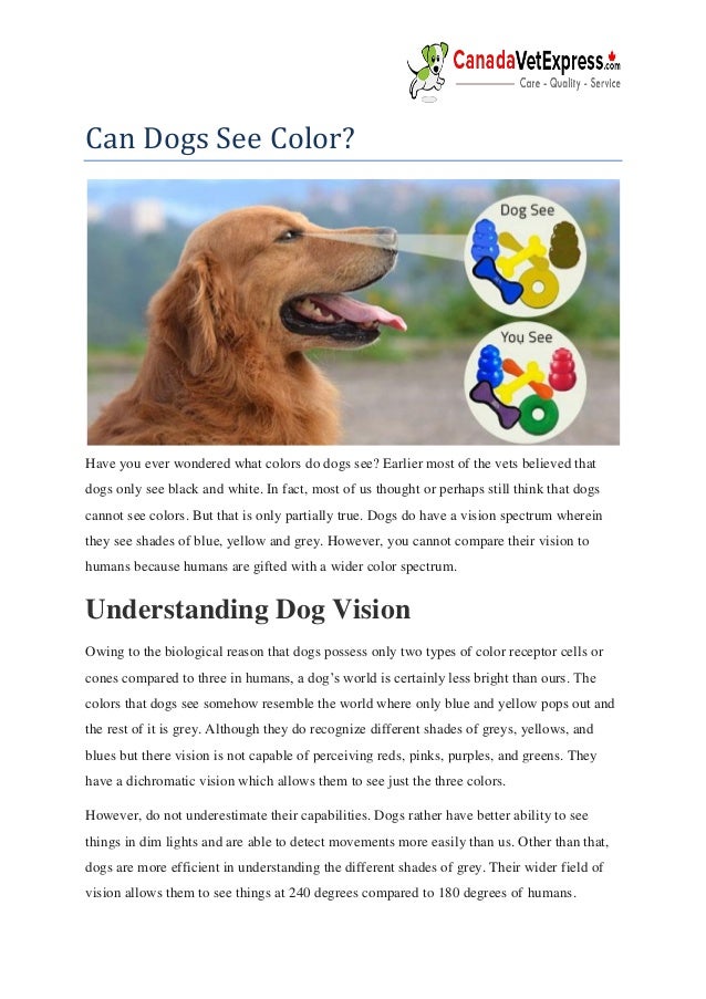 dogs can see color
