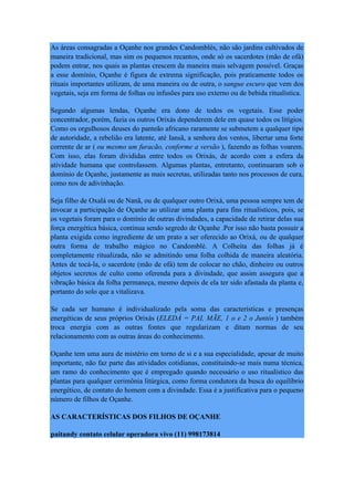 As áreas consagradas a Oçanhe nos grandes Candomblés, não são jardins cultivados de
maneira tradicional, mas sim os pequenos recantos, onde só os sacerdotes (mão de ofá)
podem entrar, nos quais as plantas crescem da maneira mais selvagem possível. Graças
a esse domínio, Oçanhe é figura de extrema significação, pois praticamente todos os
rituais importantes utilizam, de uma maneira ou de outra, o sangue escuro que vem dos
vegetais, seja em forma de folhas ou infusões para uso externo ou de bebida ritualística.
Segundo algumas lendas, Oçanhe era dono de todos os vegetais. Esse poder
concentrador, porém, fazia os outros Orixás dependerem dele em quase todos os litígios.
Como os orgulhosos deuses do panteão africano raramente se submetem a qualquer tipo
de autoridade, a rebelião era latente, até Iansã, a senhora dos ventos, libertar uma forte
corrente de ar ( ou mesmo um furacão, conforme a versão ), fazendo as folhas voarem.
Com isso, elas foram divididas entre todos os Orixás, de acordo com a esfera da
atividade humana que controlassem. Algumas plantas, entretanto, continuaram sob o
domínio de Oçanhe, justamente as mais secretas, utilizadas tanto nos processos de cura,
como nos de adivinhação.
Seja filho de Oxalá ou de Nanã, ou de qualquer outro Orixá, uma pessoa sempre tem de
invocar a participação de Oçanhe ao utilizar uma planta para fins ritualísticos, pois, se
os vegetais foram para o domínio de outras divindades, a capacidade de retirar delas sua
força energética básica, continua sendo segredo de Oçanhe .Por isso não basta possuir a
planta exigida como ingrediente de um prato a ser oferecido ao Orixá, ou de qualquer
outra forma de trabalho mágico no Candomblé. A Colheita das folhas já é
completamente ritualizada, não se admitindo uma folha colhida de maneira aleatória.
Antes de tocá-la, o sacerdote (mão de ofá) tem de colocar no chão, dinheiro ou outros
objetos secretos de culto como oferenda para a divindade, que assim assegura que a
vibração básica da folha permaneça, mesmo depois de ela ter sido afastada da planta e,
portanto do solo que a vitalizava.
Se cada ser humano é individualizado pela soma das características e presenças
energéticas de seus próprios Orixás (ELEDÁ = PAI, MÃE, 1 o e 2 o Juntós ) também
troca energia com as outras fontes que regularizam e ditam normas de seu
relacionamento com as outras áreas do conhecimento.
Oçanhe tem uma aura de mistério em torno de si e a sua especialidade, apesar de muito
importante, não faz parte das atividades cotidianas, constituindo-se mais numa técnica,
um ramo do conhecimento que é empregado quando necessário o uso ritualístico das
plantas para qualquer cerimônia litúrgica, como forma condutora da busca do equilíbrio
energético, de contato do homem com a divindade. Essa é a justificativa para o pequeno
número de filhos de Oçanhe.
AS CARACTERÍSTICAS DOS FILHOS DE OÇANHE
paitandy contato celular operadora vivo (11) 998173814
 