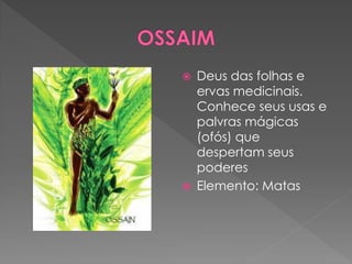  Deus das folhas e
ervas medicinais.
Conhece seus usas e
palvras mágicas
(ofós) que
despertam seus
poderes
 Elemento: Matas
 