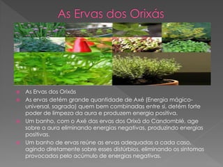  As Ervas dos Orixás
 As ervas detém grande quantidade de Axé (Energia mágico-
universal, sagrada) quem bem combinadas entre si, detém forte
poder de limpeza da aura e produzem energia positiva.
 Um banho, com o Axé das ervas dos Orixá do Candomblé, age
sobre a aura eliminando energias negativas, produzindo energias
positivas.
 Um banho de ervas reúne as ervas adequadas a cada caso,
agindo diretamente sobre esses distúrbios, eliminando os sintomas
provocados pelo acúmulo de energias negativas.
 