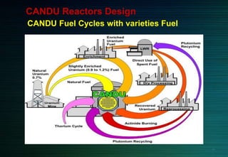 CANDU Fuel Cycles with varieties Fuel
CANDU Reactors Design
23
 