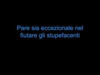 Pare sia eccezionale nel fiutare gli stupefacenti 