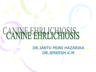 DR.JANTU MONI HAZARIKA DR.JEREESH.K.M CANINE EHRLICHIOSIS 