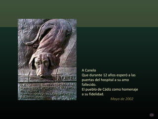 A Canelo
Que durante 12 años esperó a las
puertas del hospital a su amo
fallecido.
El pueblo de Cádiz como homenaje
a su fidelidad.
                  Mayo de 2002
 