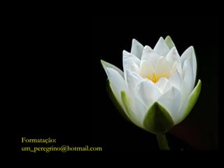 Formatação:  [email_address] 