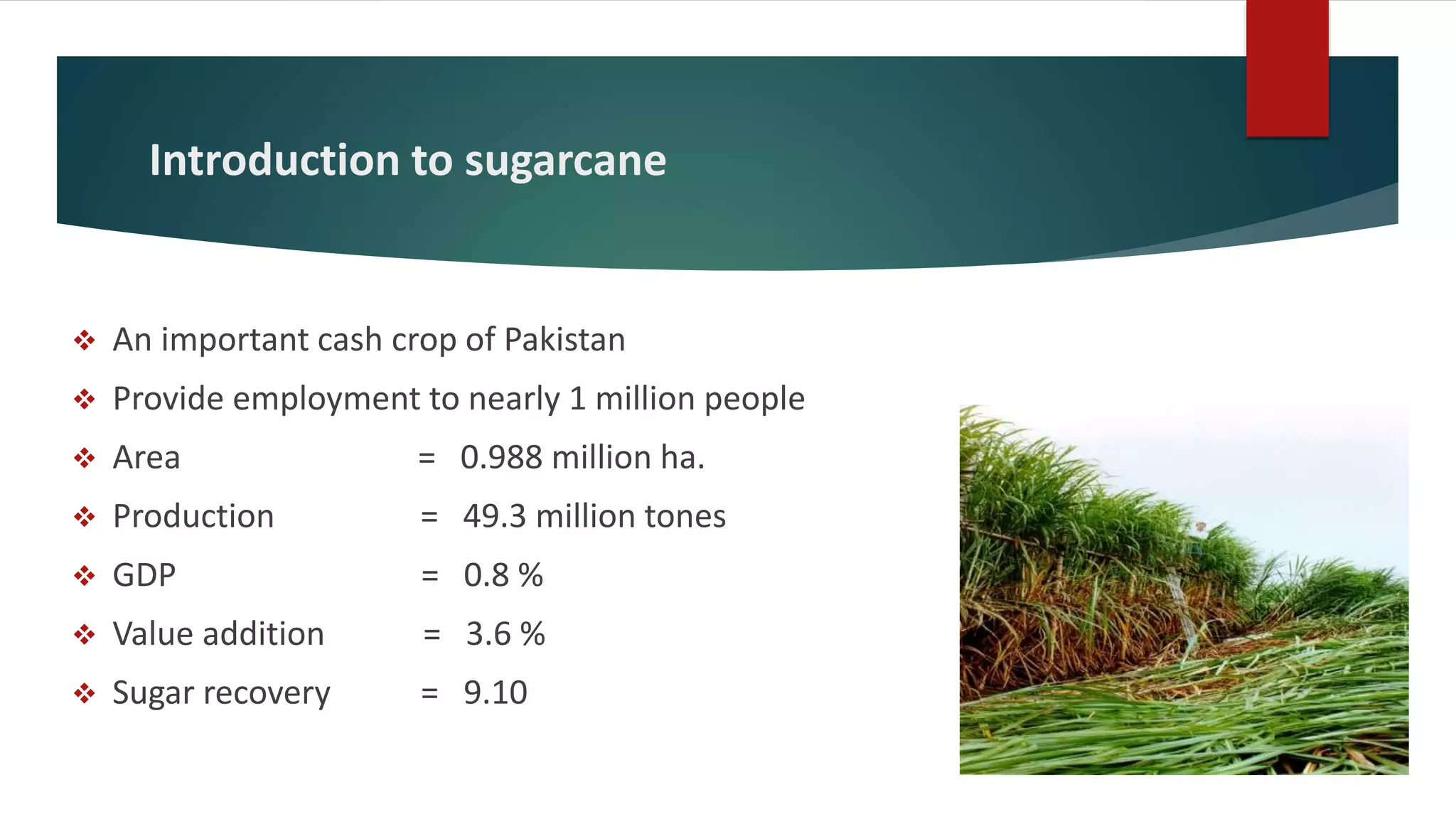 Sugar Engineering Cane sugar engineering | PPTX