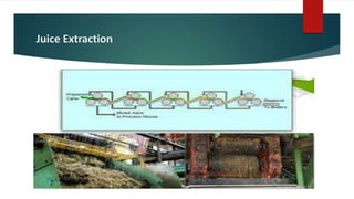 Sugar Engineering Cane sugar engineering | PPTX