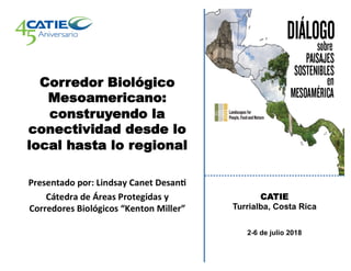 Lindsay Canet, CATIE, Corredores Biológicos Mesoamericano: construyendo conectividad desde lo local hasta lo regional