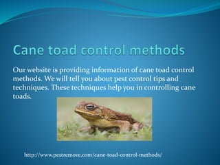 Our website is providing information of cane toad control
methods. We will tell you about pest control tips and
techniques. These techniques help you in controlling cane
toads.
http://www.pestremove.com/cane-toad-control-methods/
 