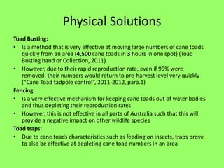 Cane toads | PPTX