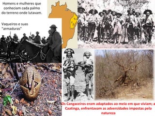 Homens e mulheres que
 conheciam cada palmo
do terreno onde lutavam.

Vaqueiros e suas
“armaduras”




                           Os Cangaceiros eram adaptados ao meio em que viviam; a
                             Caatinga, enfrentavam as adversidades impostas pela
                                                  natureza
 